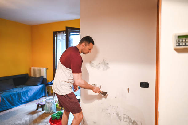 Best Mold Damage Repair  in Windom, MN